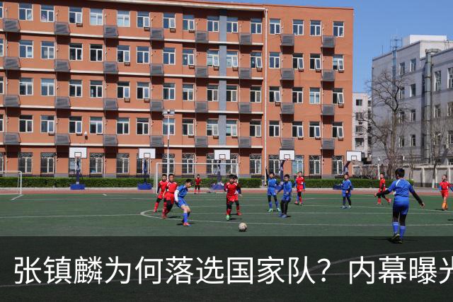 张镇麟为何落选国家队？内幕曝光，叫人心疼，郭士强并没放弃他