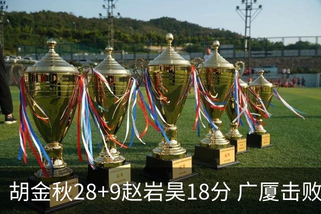 胡金秋28+9赵岩昊18分 广厦击败深圳取2连胜